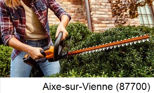 entretien jardin par paysagiste Aixe-sur-Vienne-87700