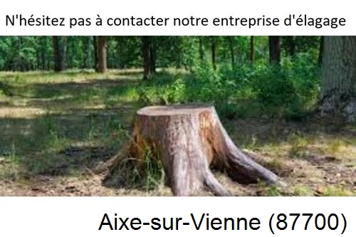 Elagage d'arbres à Aixe-sur-Vienne-87700