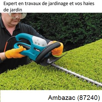 Taille et entretien jardin Ambazac-87240