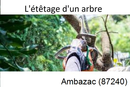 Artisan Abatteur d'arbres Ambazac-87240