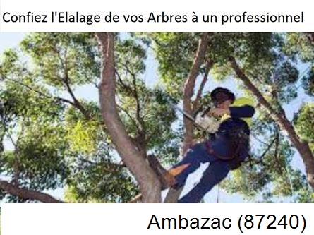 Société d'élagage à Ambazac-87240