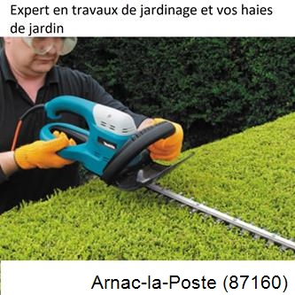 Taille et entretien jardin Arnac-la-Poste-87160