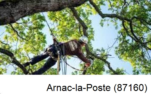 Abattage d'arbres chez un particulier Arnac-la-Poste-87160