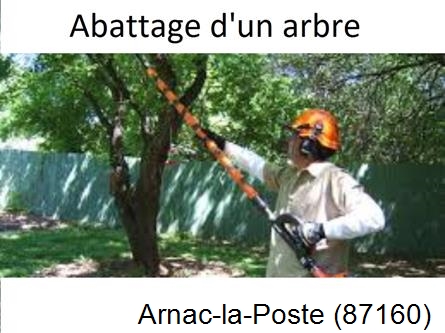 Etêtage et abattage d'un arbre Arnac-la-Poste-87160