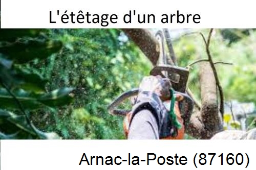 Artisan Abatteur d'arbres Arnac-la-Poste-87160
