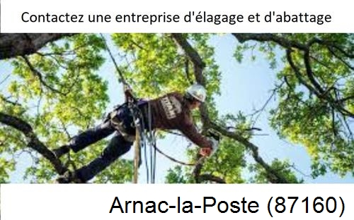 Travaux d'élagage à Arnac-la-Poste-87160