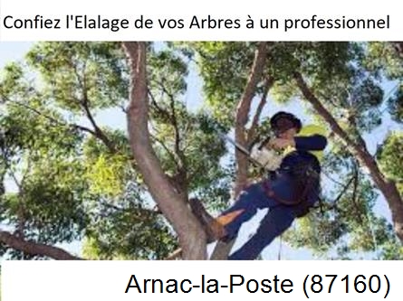 Société d'élagage à Arnac-la-Poste-87160