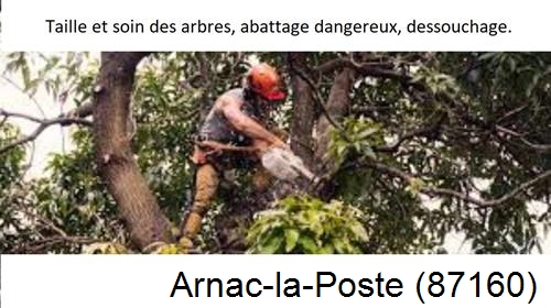 Abattage d'arbres Arnac-la-Poste-87160