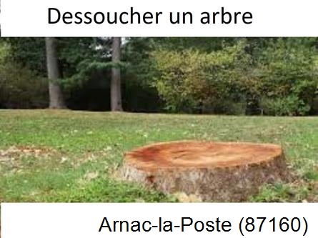 Travaux d'entretien extérieur Arnac-la-Poste-87160