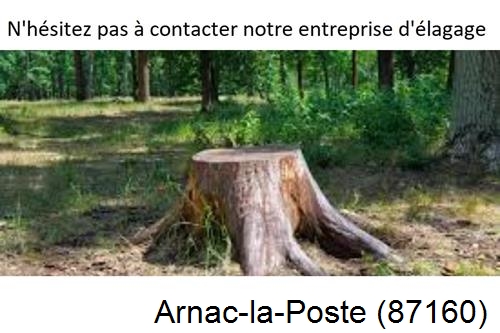 Elagage d'arbres à Arnac-la-Poste-87160