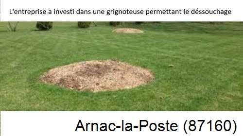 Artisan pour déssouchage d'arbres Arnac-la-Poste-87160