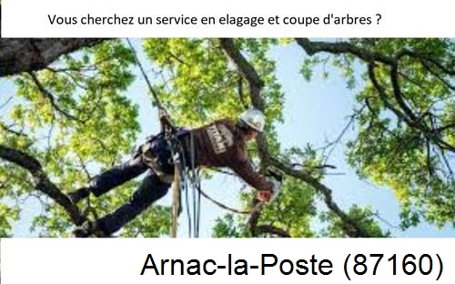 Etêtage d'arbres à Arnac-la-Poste-87160