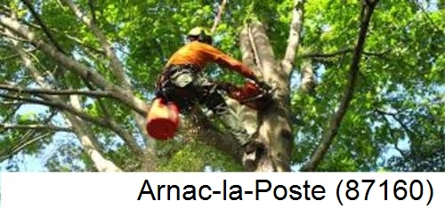 Déssouchage, étêtage d'arbres Arnac-la-Poste-87160