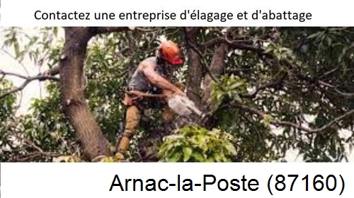 Entreprise d'élagage à Arnac-la-Poste-87160