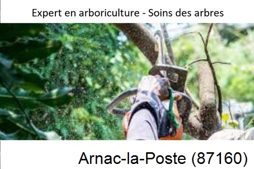 Elagage en sécurité à Arnac-la-Poste-87160
