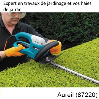 Taille et entretien jardin Aureil-87220