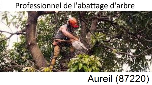 Elagage d'arbres Aureil-87220