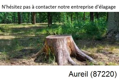Elagage d'arbres à Aureil-87220