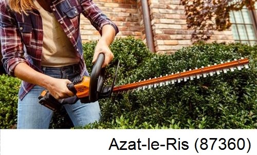 entretien jardin par paysagiste Azat-le-Ris-87360