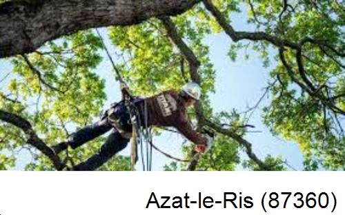 Abattage d'arbres chez un particulier Azat-le-Ris-87360