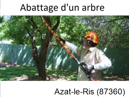 Etêtage et abattage d'un arbre Azat-le-Ris-87360