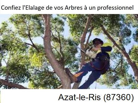 Société d'élagage à Azat-le-Ris-87360