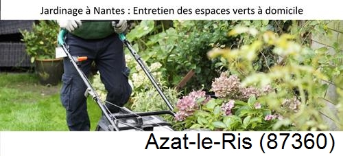Travaux d'entretien exterieur Azat-le-Ris-87360