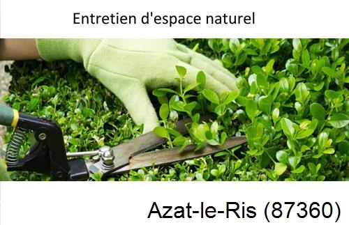Rénovation jardin particulier Azat-le-Ris-87360