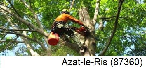 Déssouchage, étêtage d'arbres Azat-le-Ris-87360