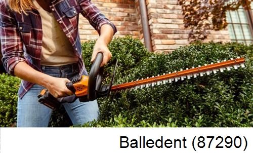 entretien jardin par paysagiste Balledent-87290