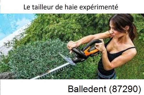 entretien jardin à Balledent-87290