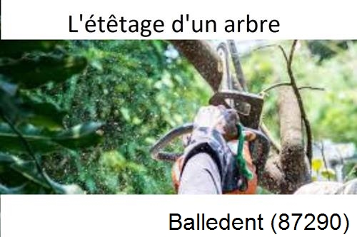 Artisan Abatteur d'arbres Balledent-87290