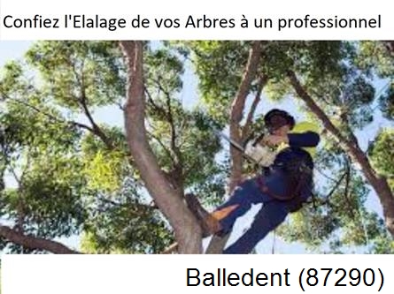 Société d'élagage à Balledent-87290