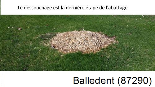 déssouchage d'arbres Balledent-87290