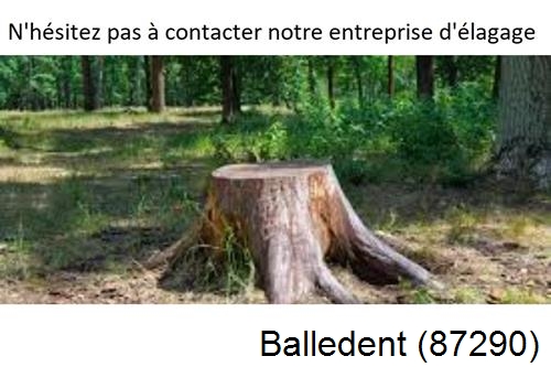 Elagage d'arbres à Balledent-87290