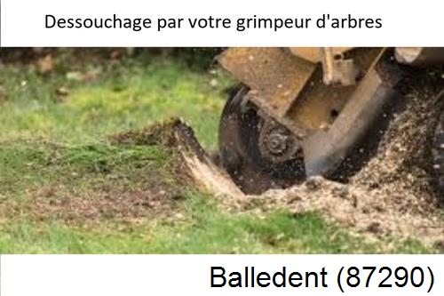 abattage d'arbres à Balledent-87290