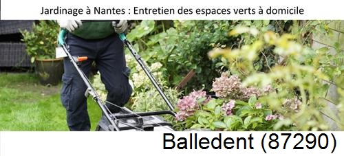 Travaux d'entretien exterieur Balledent-87290
