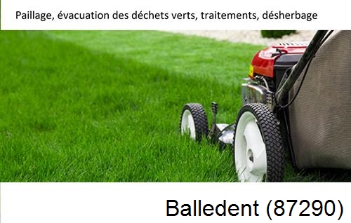 Entreprise de paysage pour entretien de jardin Balledent-87290