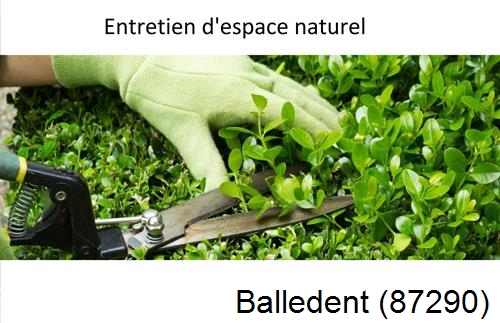 Rénovation jardin particulier Balledent-87290