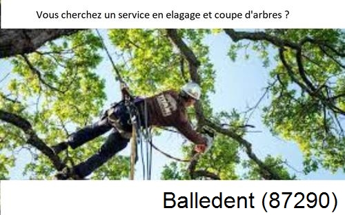 Etêtage d'arbres à Balledent-87290