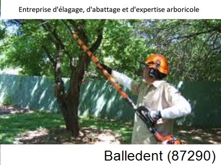 Coupe tête d'arbres Balledent-87290