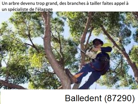 Elagueur qualifié à Balledent-87290