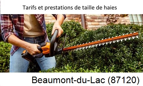 taille de haies Beaumont-du-Lac-87120