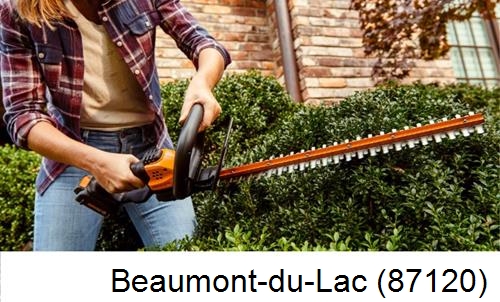 entretien jardin par paysagiste Beaumont-du-Lac-87120