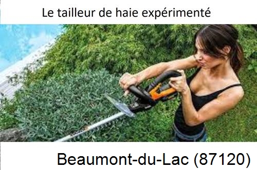 entretien jardin à Beaumont-du-Lac-87120