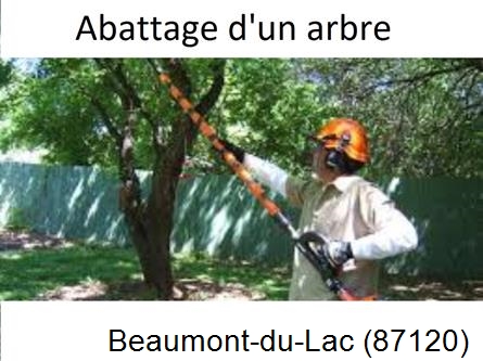 Etêtage et abattage d'un arbre Beaumont-du-Lac-87120