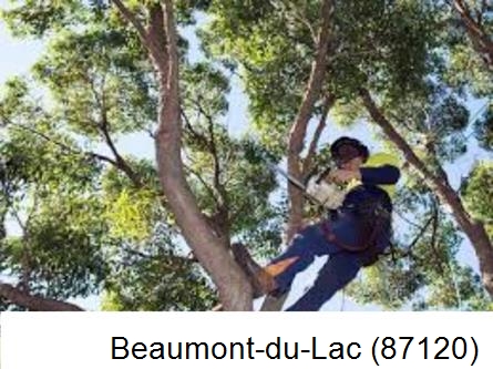 Elagueur à Beaumont-du-Lac-87120
