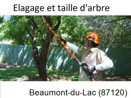 Elagage chez particulier Beaumont-du-Lac-87120