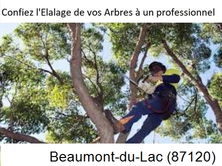 Société d'élagage à Beaumont-du-Lac-87120