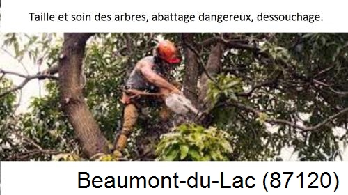 Abattage d'arbres Beaumont-du-Lac-87120